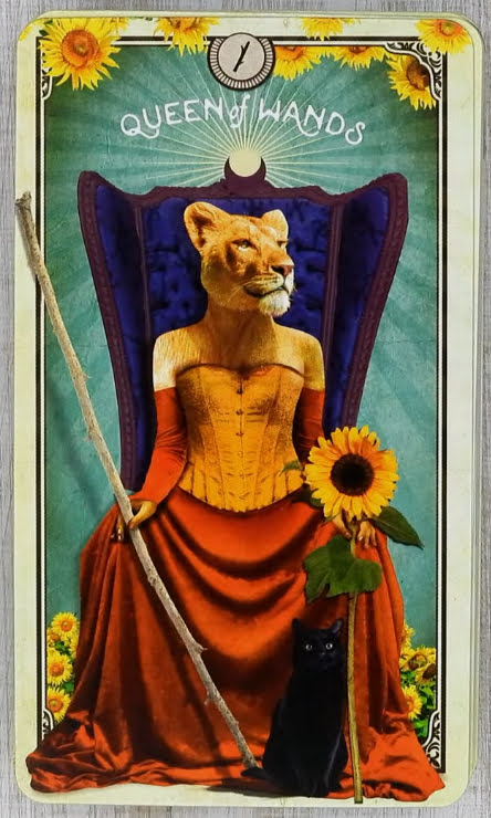 Tarot of Curious Creatures